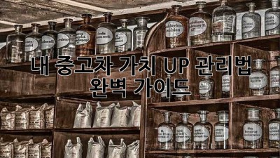 내 중고차, 가치 UP! 관리법 완벽 가이드