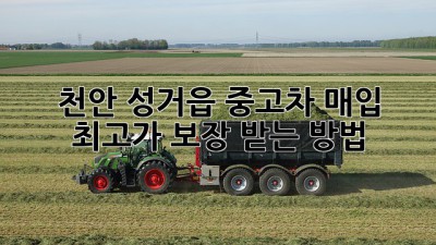 천안 성거읍 중고차 매입, 최고가 보장 받는 방법!